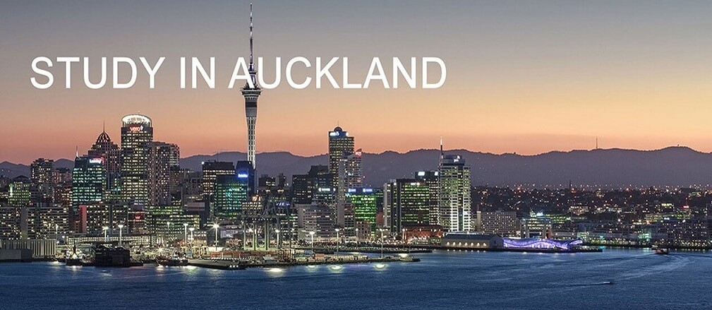 overseas education consultant - study in new zealand